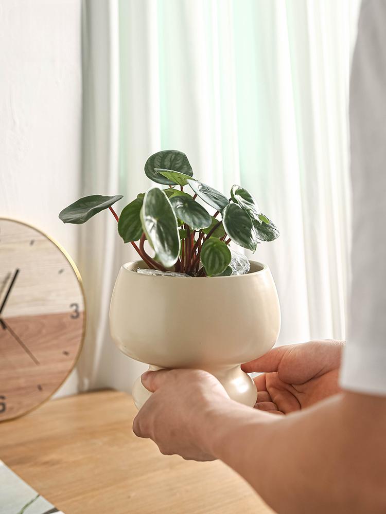 BRCeramic Flower Pot Moss Ball Butterfly Orchid Special Bonsai Art Flower Arrangement Art Sword Mountain Pot Succulent PlantsEY