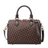 2026 Lente Trendy Eenvoudige Boston Print Kussen Handtas Crossbody voor Vrouwen