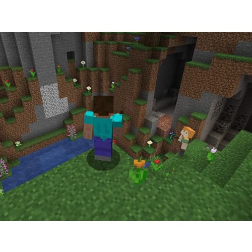 Minecraft: Java & Bedrock Edition | Card Edition
