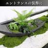 CHASO Moss Faux Greenery for and Dark 30g Houseplants, Bonsai, Dioramas, Green,