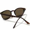 [FashionBerry] Matte Demi X Brown Sunglasses, Non-Prescription Glasses, Fashion Glasses, Tinted Glasses, Stylish Eyeglasses, Men's & Women's, Round,
