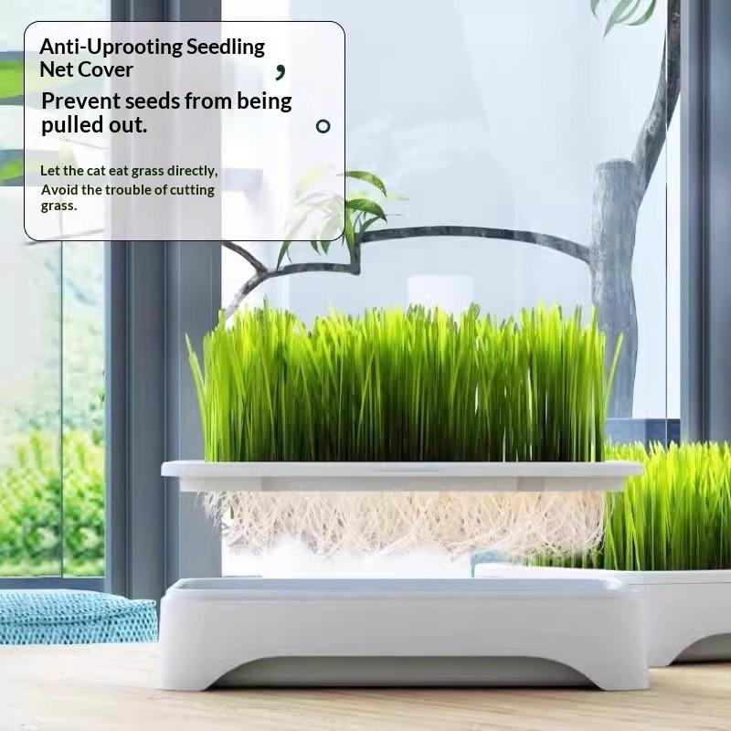 Tarwegras Pot voor Katten Binnen Zonder Aarde Planten voor Huisdieren