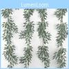 Foliage Eucalyptus Leaf For Wedding Backgrounds Outdoor Decoration Photography