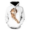 Herbst/Winter 2019 Herren- und Damenmode 3D-Hoodie süßer Panda Galaxie Weltraum bedruckte Mütze Sweatshirt Pullover