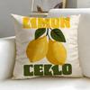 Beverage Theme Limoncello Cocktail Cushion Cover Soft  EasyWash Pillow Case  Versatile for Couch Bed Travel and Office