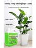Universal Liquid Fertilizer for Flowers, Green Plants, Hydroponics, Succulents, and Potted Money Trees