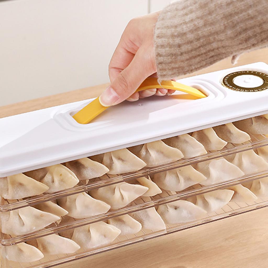 Dumpling Storage Container Food Grade Plastic Refrigerator Dumpling Storage Box for Home