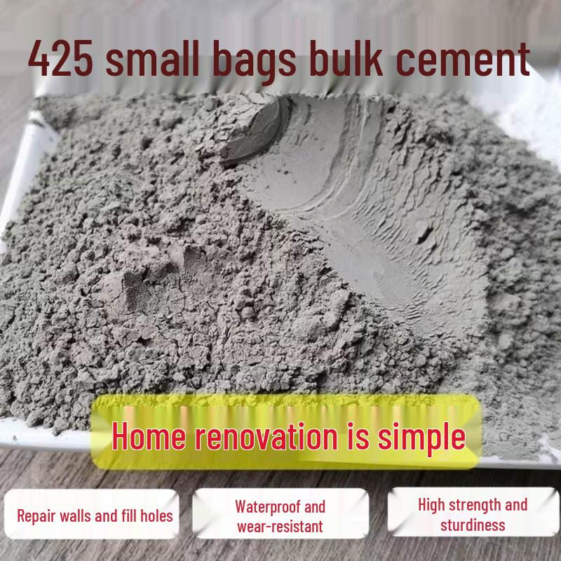 Lixian Wall & Floor Repair Cement