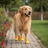 4pcs/set Breathable Dog Mesh Shoes Adjustable Wear-Resistant Dog Paw Protectors Soft Reflective Pet Sneakers Night-time Walking