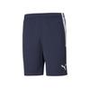 Puma Shorts 27224