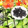 50/100Pcs Garden Plant Clips Butterfly Orchid Support Clamp Flower Stem Vine Tied Clip Fruit Vegetable Grafting Garden Tools