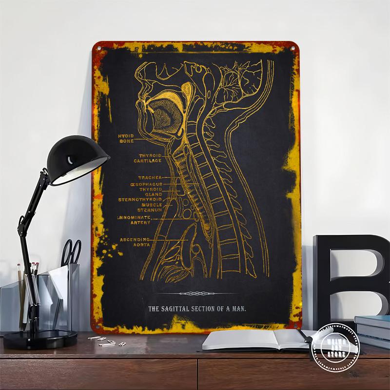 Sagittal Section Anatomy Metal Poster Customized Wall Art Retro Vintage Tinplate Signs for Aesthetic Room Decor Men Man Cave