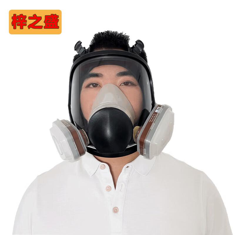 Zizhisheng CF6800 Full Face Gas Mask