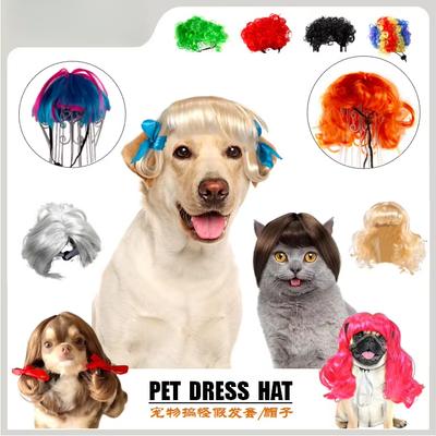 Gatos – Ropa