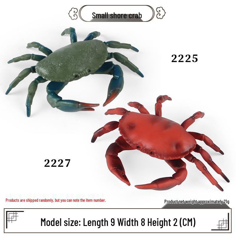 Ocean Crab Simulation Toy Set: Includes Hermit, Swimming, and Three-Spot Plastic Models