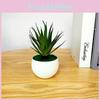 Gladiolus Artificial Green Plant Pot With Injection Molded Pvc For Home Office Interior