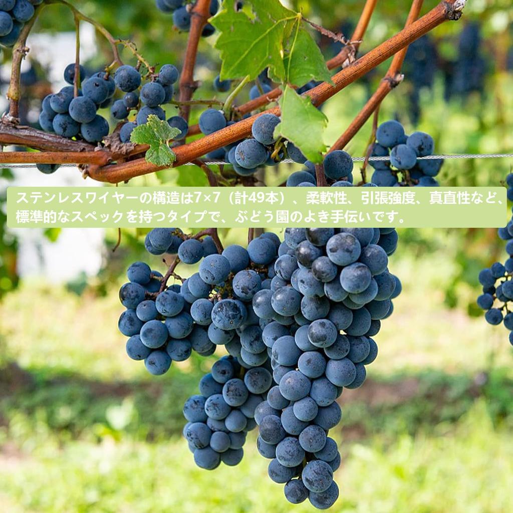 Yoimize Wire Rope, Stainless Steel Wire, Diameter 0.1 Inch (3 Mm), Length 16.9 Ft