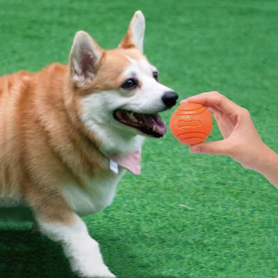 Haustier-Hundespielzeug, Hundeball, Hunde-Hüpfgummi, stabiler Ball, Widerstand gegen Hunde-Kauspielzeug, Wurf- und Erholungstraining im Freien für Hunde