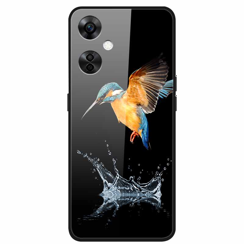 For One Plus Nord CE 3 Lite 5G Case N30 Tempered Glass Hard Back Cover for Oneplus Nord CE3 Lite N 30 Cases Bumper 3lite CE3Lite
