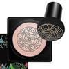 Air Cushion BB Cream Spreadability Makeup Air Cushion Air Cushion Concealer for Daily Use