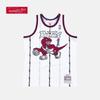 NBA Mitchell & Ness Raptors Tracy McGrady Jersey