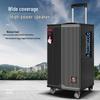 MALONE Portable Trolley Karaoke Bluetooth Speaker with Dual Microphones (CN version)