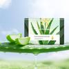 Shidanrou Aloe Vera Purifying Facial Soap