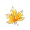 Ahornblatt Ginkgo Biloba Blatt Strass Brosche Nische High-End Korsage Design Temperament Ausschnitt Anti-Licht Nadel Accessoires Anzug
