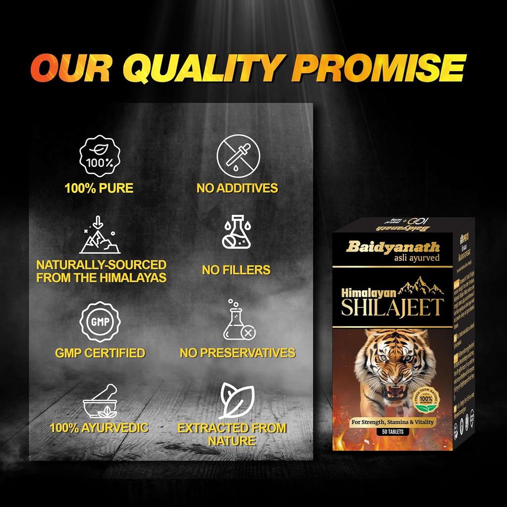 Baidyanath Shilajeet 50 Tabletten für Stärke Ausdauer Energie Vitalität Unterstützung Tägliches Wohlbefinden