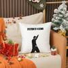 Hot Rock Band S-System Of A Down Pillow Case Anti-dustmite Pillow Invisible zipper silky short plush Sofa cushion cover