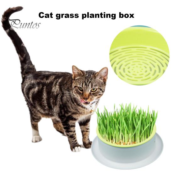 Grass Planting Box Reusable Hydroponic Cat Grass Planting Box Durable Convenient Grass Growing Box for Home