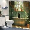 Banyo ve tuvalet – Duş Perdeleri