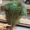 10 PCS Big Eyes Peacock Feathers Natural Feather for DIY Crafts Accessories Wedding Home Hotel Decoration Plumes