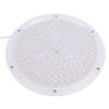 Plant Grow Light White 120 Beads 8W Full Spectrum Hanging Growing Lamp with 2H 4H 8H Timer 4 Dimmable Levels for Indoor