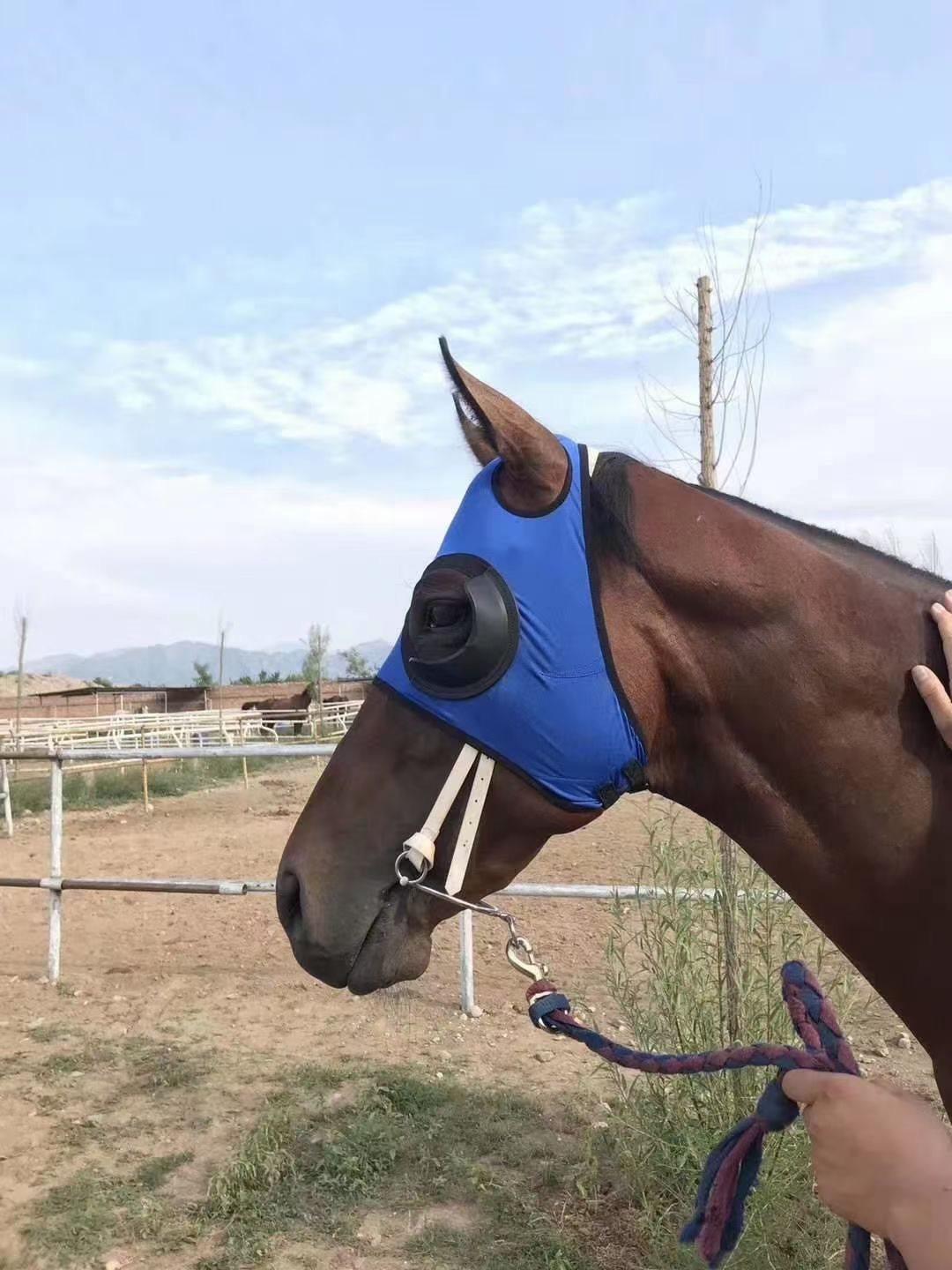 Windproof Horse Racing Goggles with Mesh Eye Cover Default