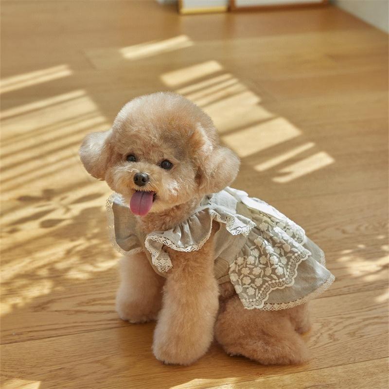 Vente chaude vêtements pour chien et chat printemps et été coton pur jupe en dentelle Malzis tenue pour petit chien
