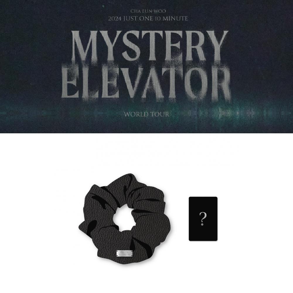 

Второй предзаказ CHA EUN WOO 2024 Just One 10 Minute Mystery Elevator Scrunchie