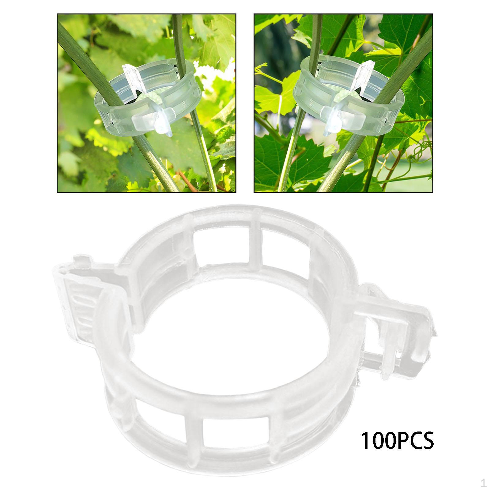 

Зажимы для поддержки растений, садовый зажим, опоры для садовых томатов для выращивания виноградных лоз в вертикальном положении 50 pieces