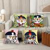 Spicy Funny Cartoon B-Buldak R-Ramen  Pillow Case Office Cushions Suitable For Sofa Car Bedroom Decorative Cushion Cover