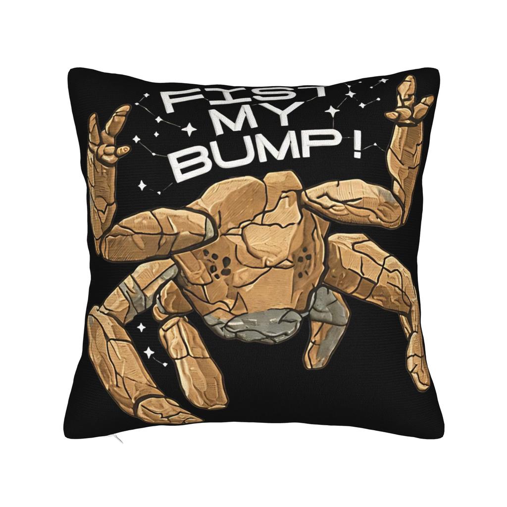 Project Hail Mary You Sleep I Watch Pillow Cover Design Cushion Cover Novelty Pillow Case For Sofa Home Decor