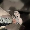 Silver platform dad shoes women's 2025 new small man height and thinness mesh breathable sports and leisure shoes
