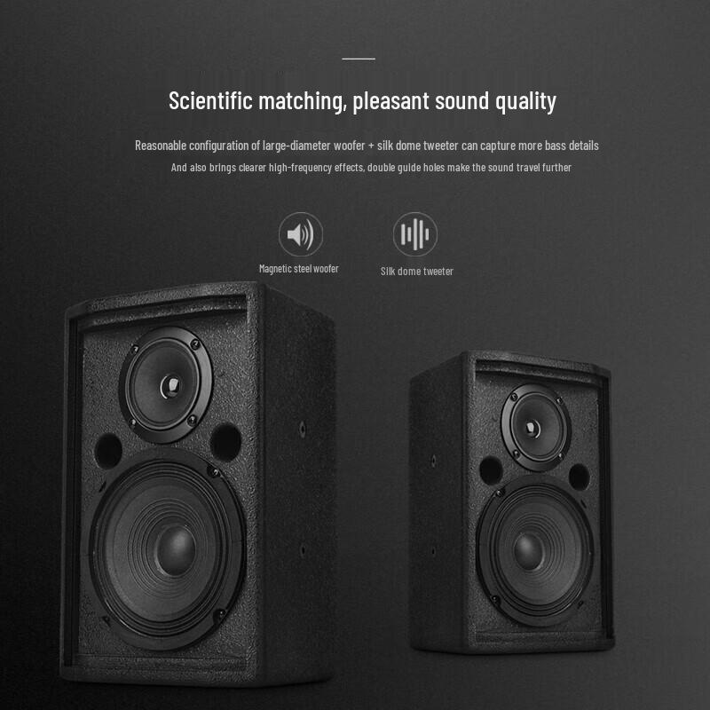 KAXISAIER Professional 100W Passive Full-Range Speakers