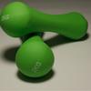 Longchan Cast Iron Bone Dumbbell Set