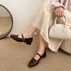 Fashion Temperament French Retro Thick Heel Small Leather Shoes Women's 2025 New Spring and Autumn Square Head with Skirt Mary Jane Single Shoes