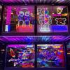 5m Neon LED Strip Light DC 12V Silicone Flexible Neon Rope Lamp 120LEDs/m Waterproof For Bedroom Home Room Party DIY Decoration