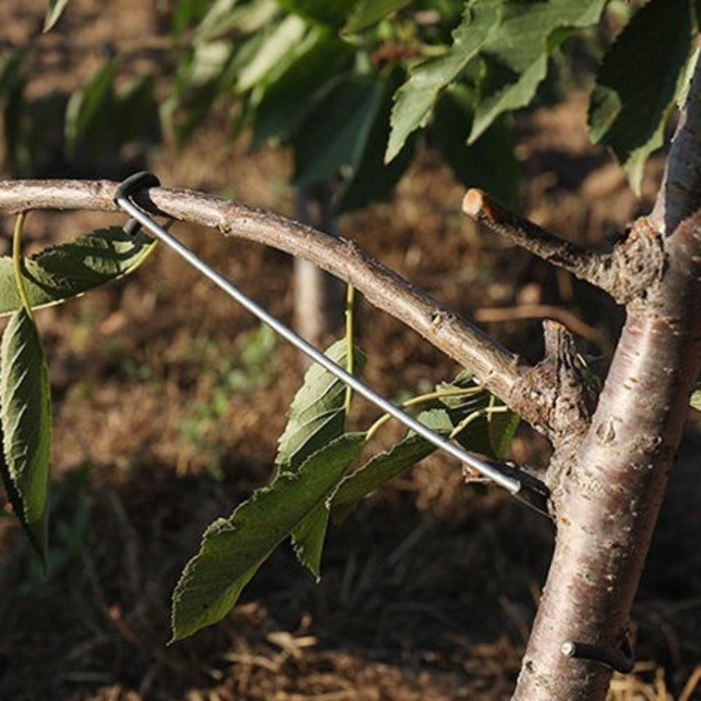 10Pcs Anti-Slip Fruit Tree Branch Puller High-Strength Branch Shaping Device  Tree Sapling