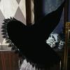 Women Costume Witch Cap Pleated Wizard Hat Halloween Party Headwear Brimmed Hat Tassel/Lace Brim Hats Holiday Headdress