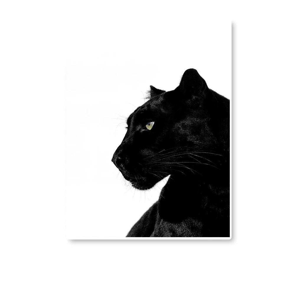Black and White Leopard and Panther Wall Arts Prints, Wildlife Animal Posters Living Room Home Decor Wall Decor, NO Frame