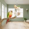 Funny Parrot Tongcao Ball Bird Chewing Toy Bird Supplies Parrot Relief Decompression Puzzle Toy Rattan Ball Molar Bite Toys