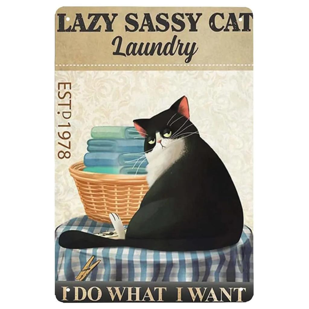 Plaque Metal Tin Signs Laundry Room Wall Decoration Vintage Art Posters Iron Painting for Man Cave Home Cafe Bathroom Club Bar
